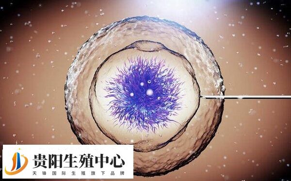 心理状态是影响试管成败的重要因素之一