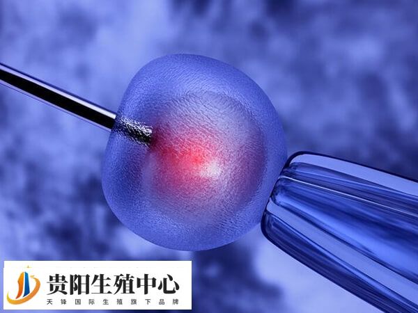 贵医附院试管妊娠率在40%-50%左右