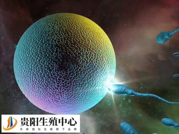 拮抗剂方案通常建议在月经第2-3天开始启动
