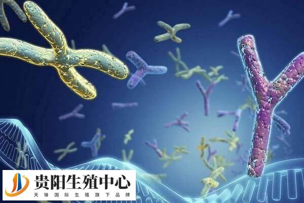染色体异常可以做试管