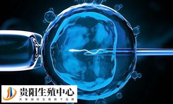 国内试管成功率平均在40%左右