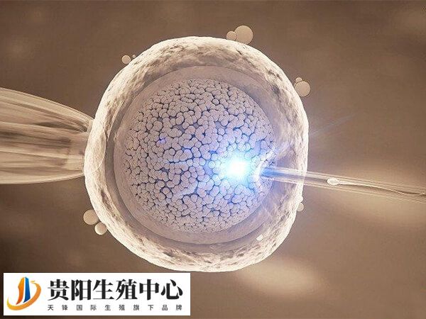 泰国试管成功率大概有60%