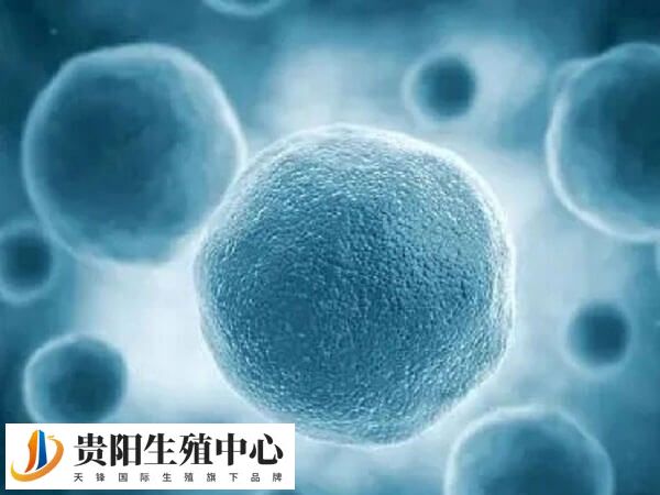 空卵泡和正常卵泡区别是什么