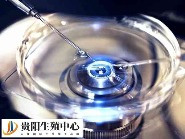 试管婴儿取卵前为什么要测hcg