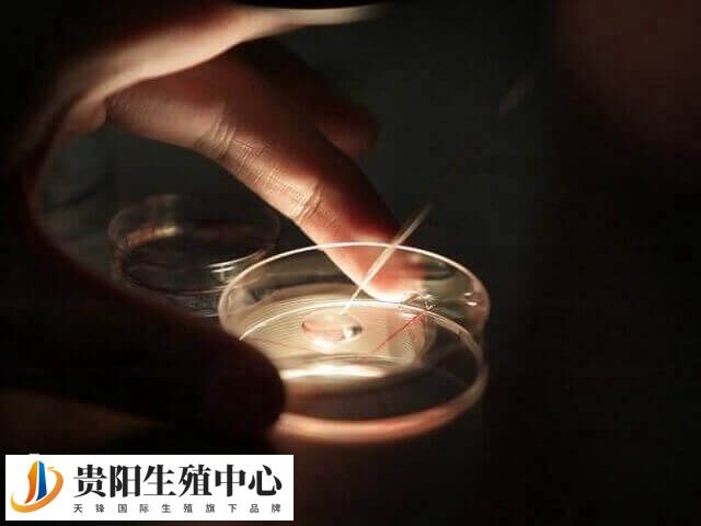 贵阳试管婴移植后身体反应有哪些