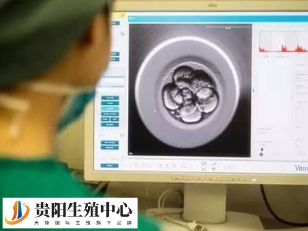 移植后头晕可能是怀孕了