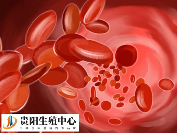 夫妻同型地中海贫血可做第三代试管婴儿筛选健康宝宝吗？