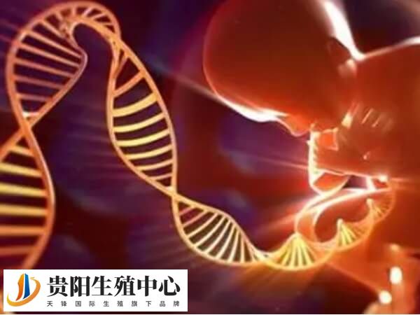 高龄鲜胚移植多次失败做三代试管婴儿优势是成功率高吗？