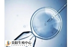 试管一级胚胎成功率是多少？试管婴儿1级胚