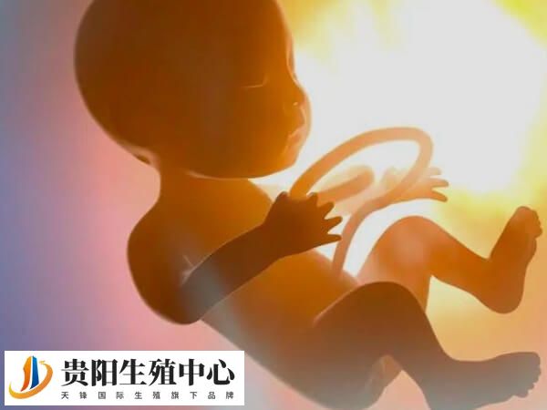 高龄女性要科学备孕