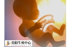 年龄大了要保持怎么样的生活状态才能尽快怀